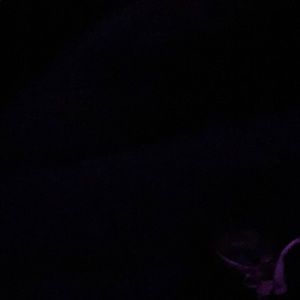 Meet your Posher, Maddy